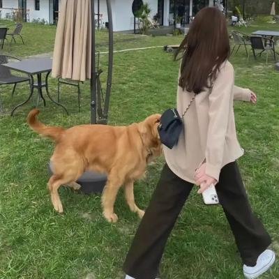 咒怨：白色鬼妇